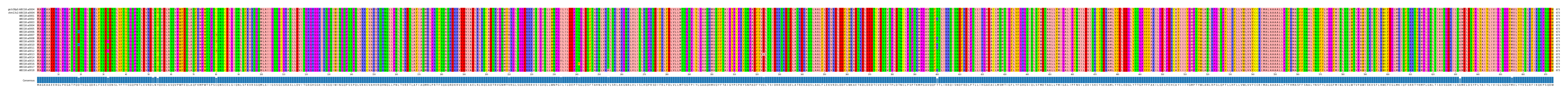 Multiple Alignments (by translate haplotype frequency)