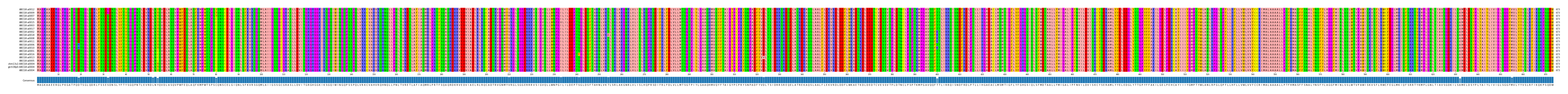 Multiple Alignments (by translate haplotype similarity)