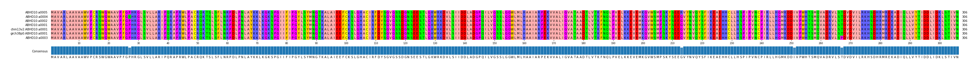 Multiple Alignments (by translate haplotype similarity)