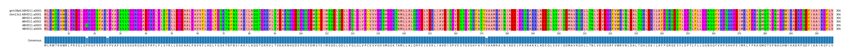 Multiple Alignments (by translate haplotype frequency)