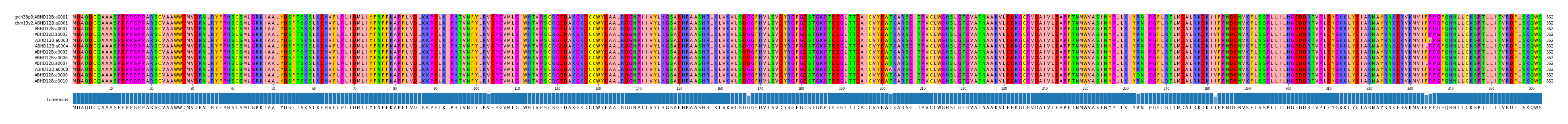 Multiple Alignments (by translate haplotype frequency)