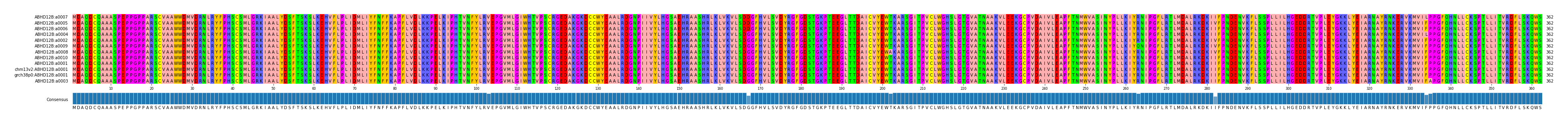 Multiple Alignments (by translate haplotype similarity)