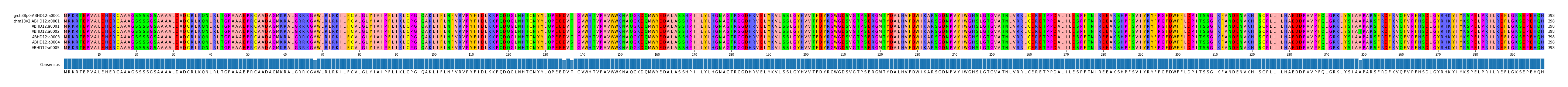Multiple Alignments (by translate haplotype frequency)