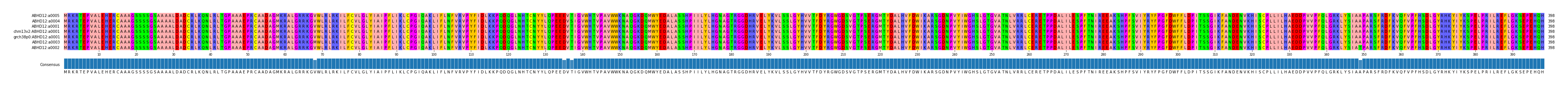 Multiple Alignments (by translate haplotype similarity)