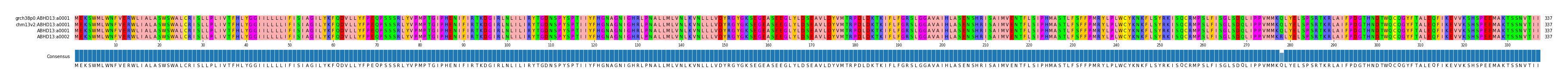 Multiple Alignments (by translate haplotype similarity)