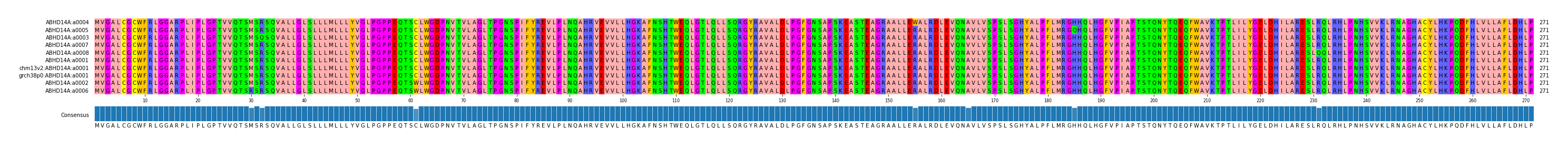 Multiple Alignments (by translate haplotype similarity)