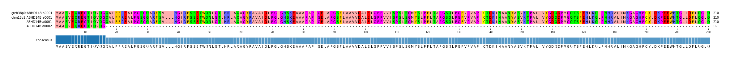 Multiple Alignments (by translate haplotype similarity)