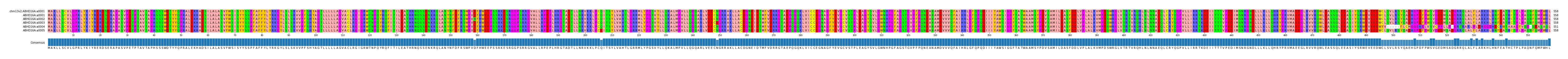 Multiple Alignments (by translate haplotype frequency)