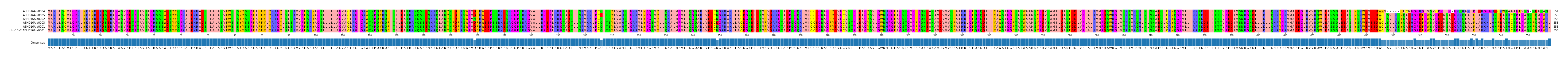 Multiple Alignments (by translate haplotype similarity)