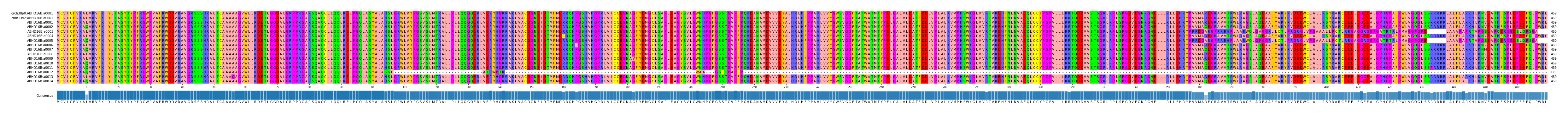 Multiple Alignments (by translate haplotype frequency)