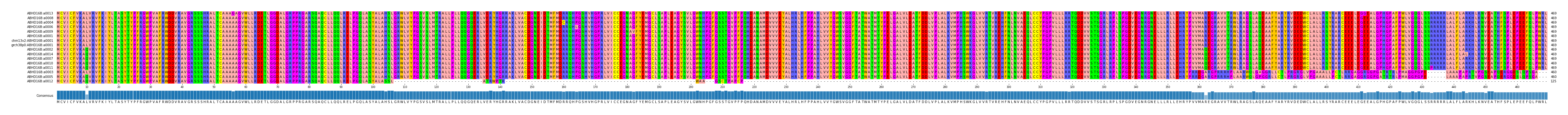 Multiple Alignments (by translate haplotype similarity)