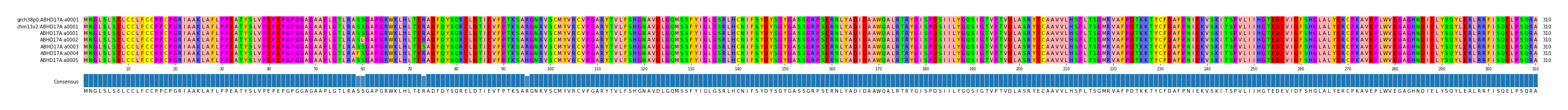 Multiple Alignments (by translate haplotype frequency)