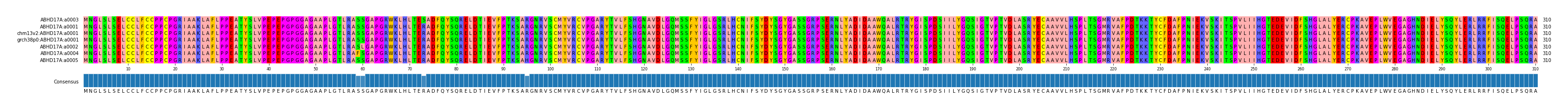 Multiple Alignments (by translate haplotype similarity)