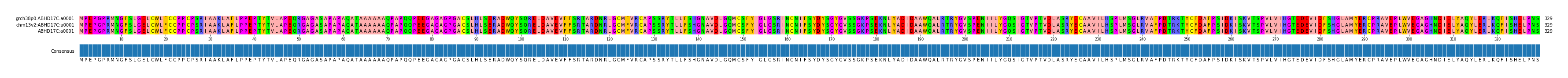 Multiple Alignments (by translate haplotype similarity)