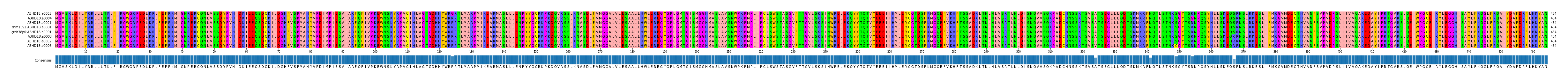 Multiple Alignments (by translate haplotype similarity)