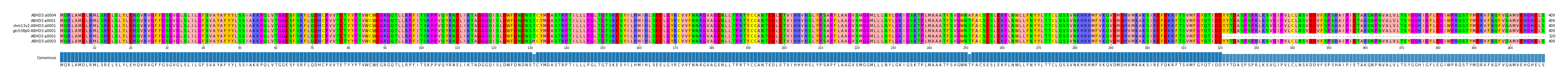 Multiple Alignments (by translate haplotype similarity)