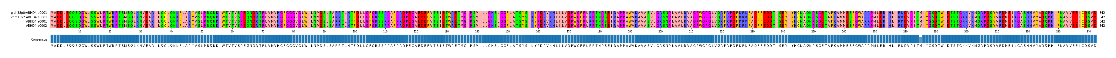 Multiple Alignments (by translate haplotype similarity)