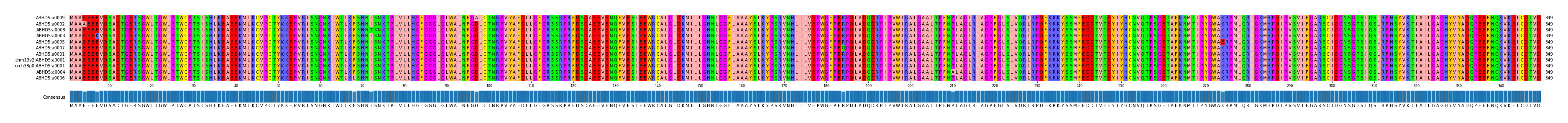 Multiple Alignments (by translate haplotype similarity)
