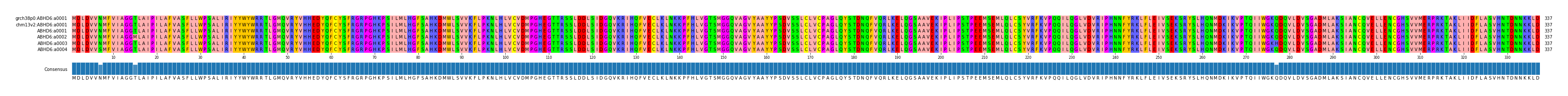 Multiple Alignments (by translate haplotype frequency)