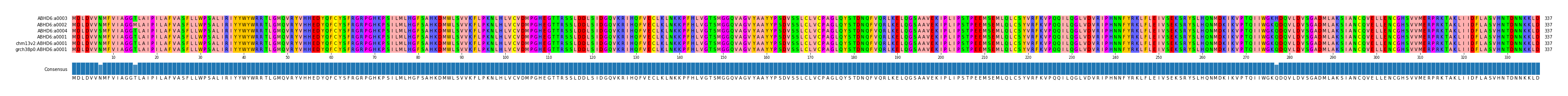 Multiple Alignments (by translate haplotype similarity)