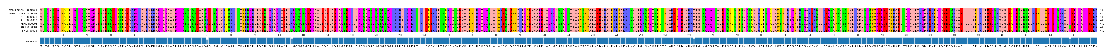 Multiple Alignments (by translate haplotype frequency)