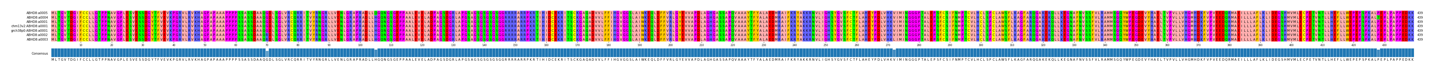 Multiple Alignments (by translate haplotype similarity)