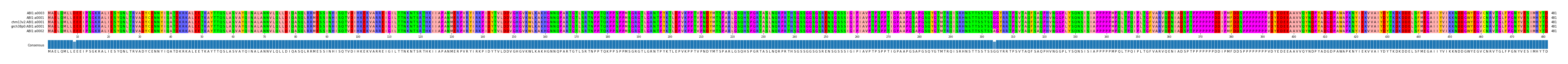 Multiple Alignments (by translate haplotype similarity)