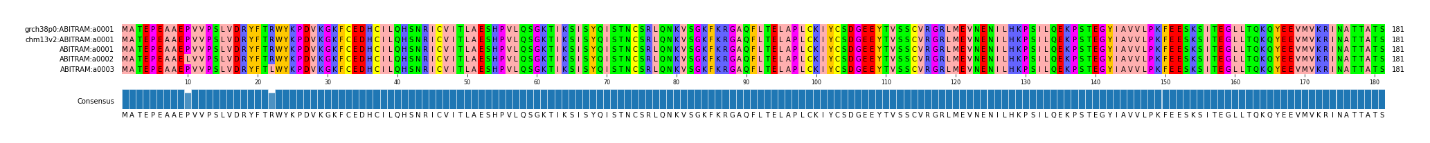 Multiple Alignments (by translate haplotype frequency)