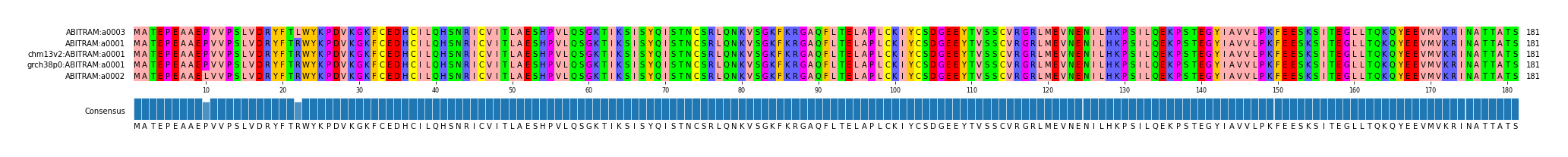 Multiple Alignments (by translate haplotype similarity)
