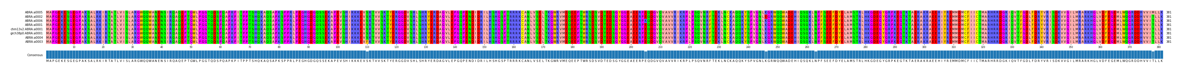 Multiple Alignments (by translate haplotype similarity)