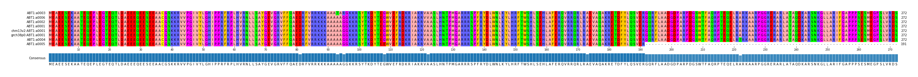Multiple Alignments (by translate haplotype similarity)