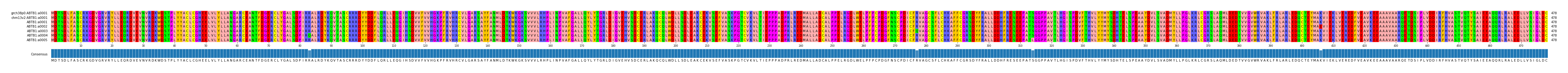 Multiple Alignments (by translate haplotype frequency)