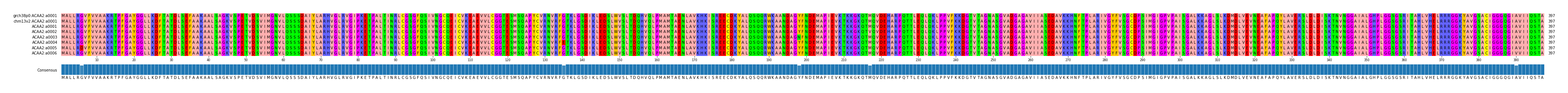 Multiple Alignments (by translate haplotype frequency)