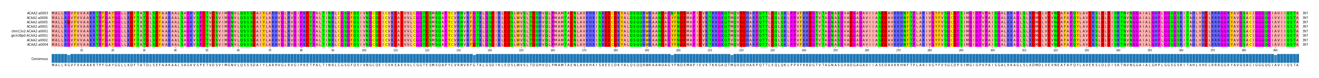 Multiple Alignments (by translate haplotype similarity)