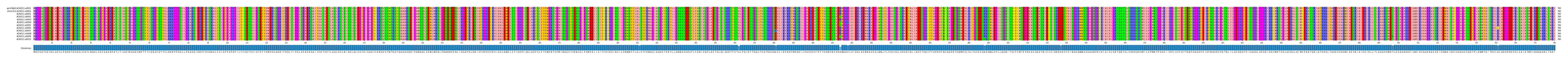 Multiple Alignments (by translate haplotype frequency)