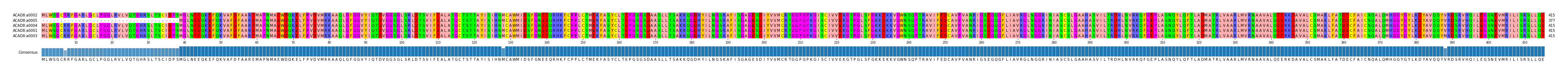 Multiple Alignments (by translate haplotype similarity)
