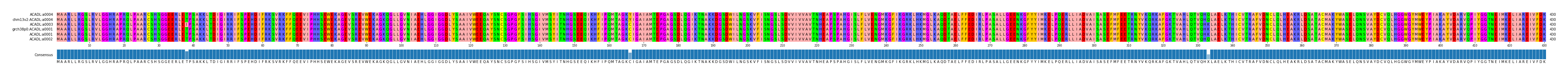 Multiple Alignments (by translate haplotype similarity)