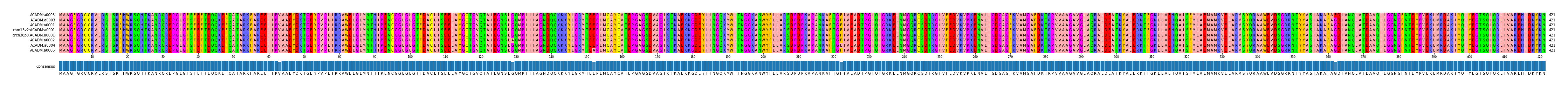 Multiple Alignments (by translate haplotype similarity)