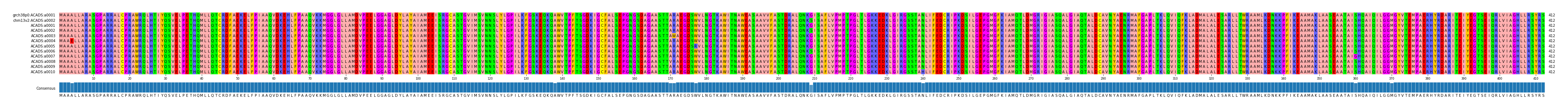 Multiple Alignments (by translate haplotype frequency)