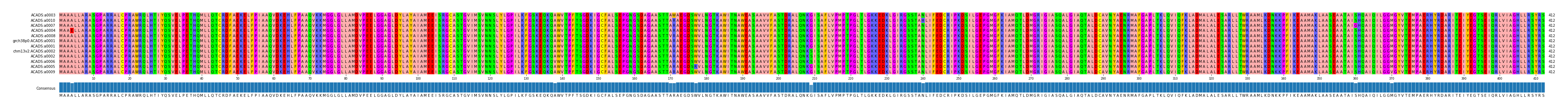 Multiple Alignments (by translate haplotype similarity)