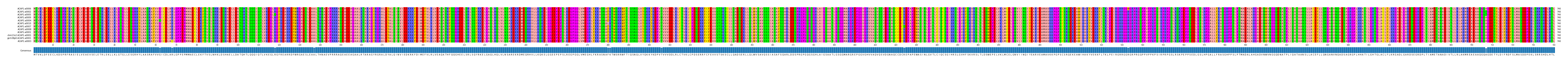 Multiple Alignments (by translate haplotype similarity)