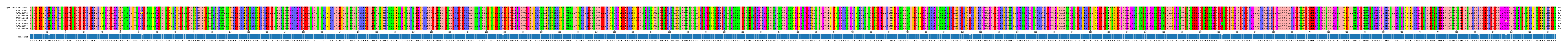Multiple Alignments (by translate haplotype frequency)