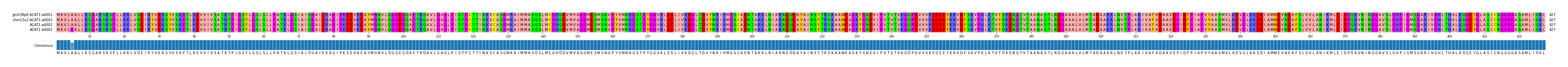 Multiple Alignments (by translate haplotype similarity)