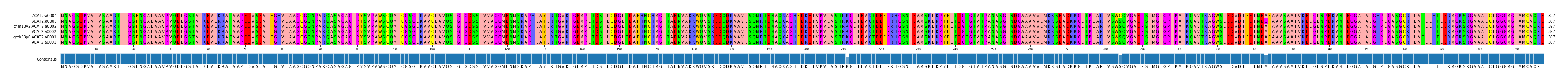 Multiple Alignments (by translate haplotype similarity)