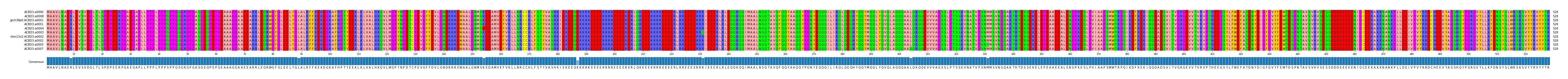 Multiple Alignments (by translate haplotype similarity)