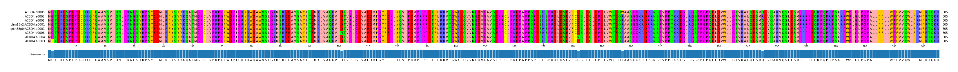 Multiple Alignments (by translate haplotype similarity)
