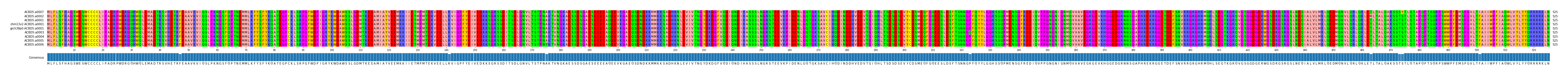 Multiple Alignments (by translate haplotype similarity)