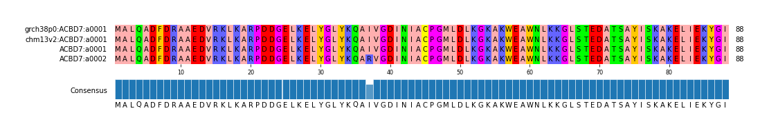 Multiple Alignments (by translate haplotype similarity)