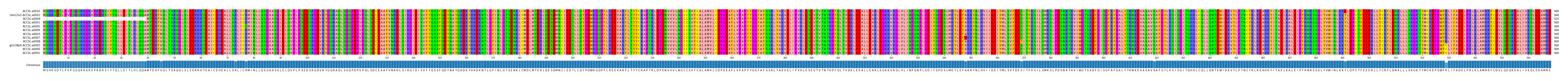 Multiple Alignments (by translate haplotype similarity)