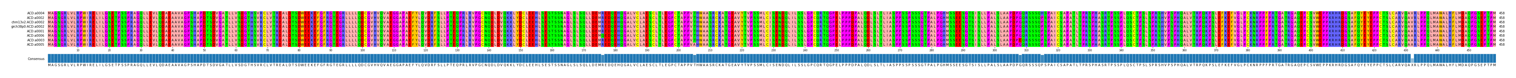 Multiple Alignments (by translate haplotype similarity)